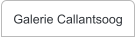 Galerie Callantsoog