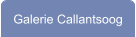 Galerie Callantsoog